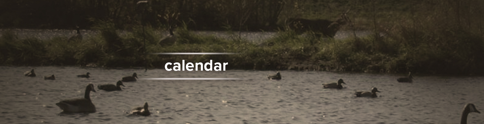 Calendar Inner Banner